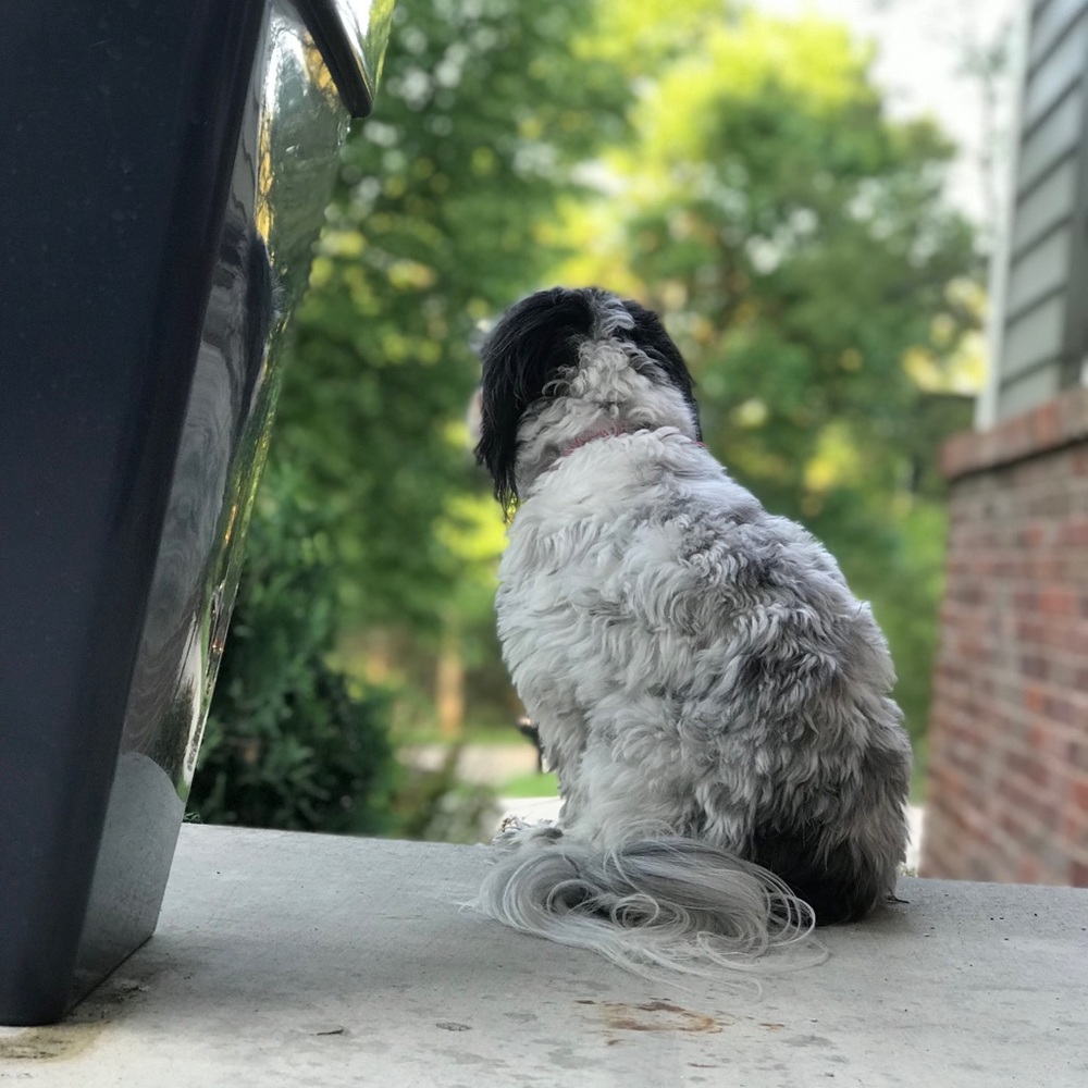 Meet your Posher, Marie